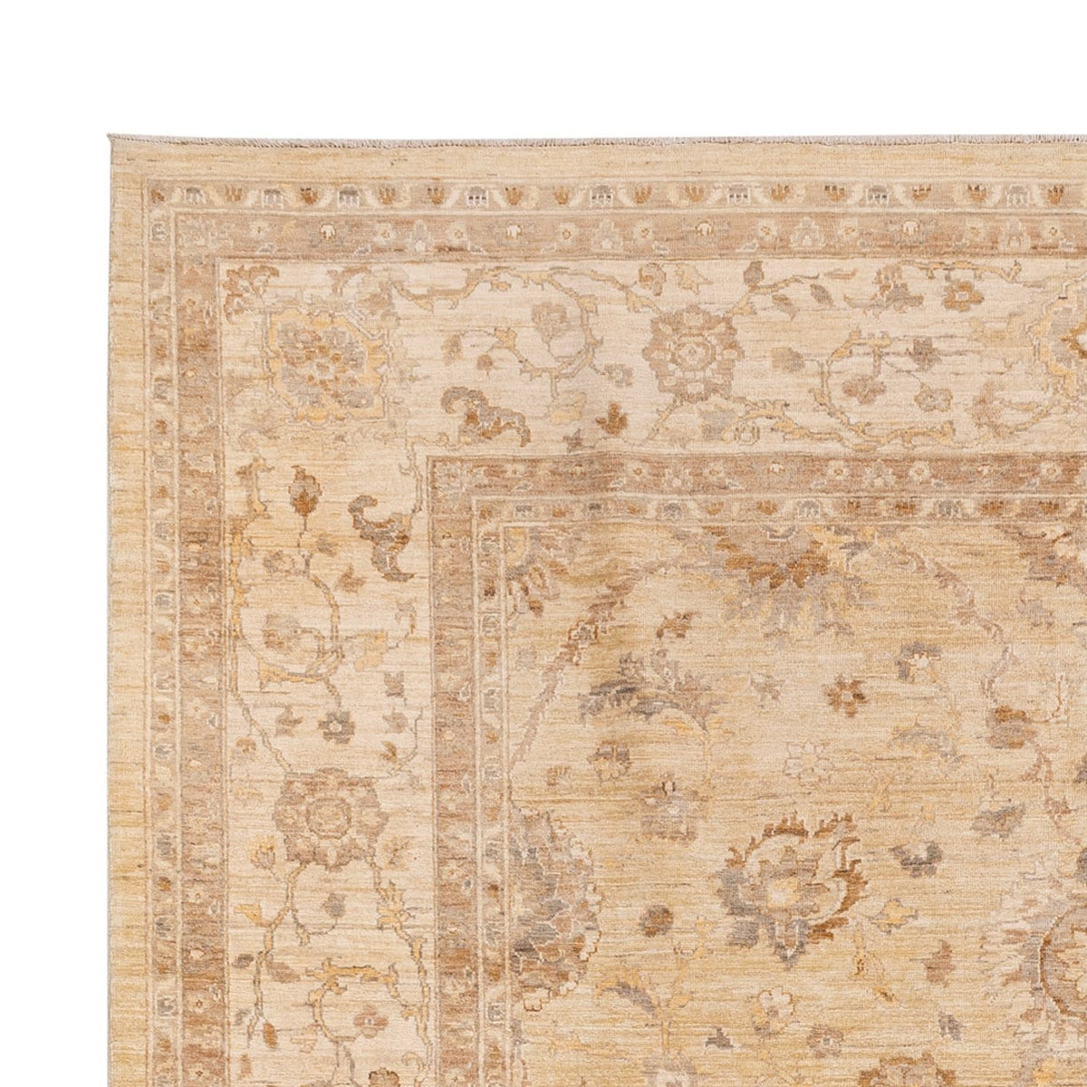 Ziegler Rug - 290 x 244 cm - beige