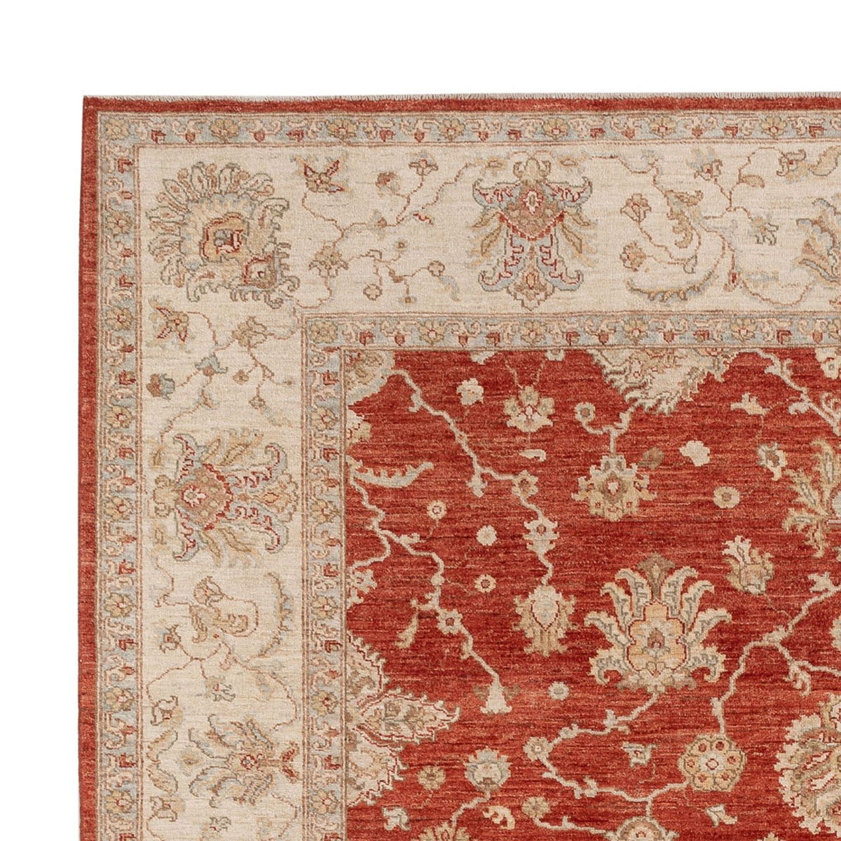 Ziegler Rug - 298 x 256 cm - red