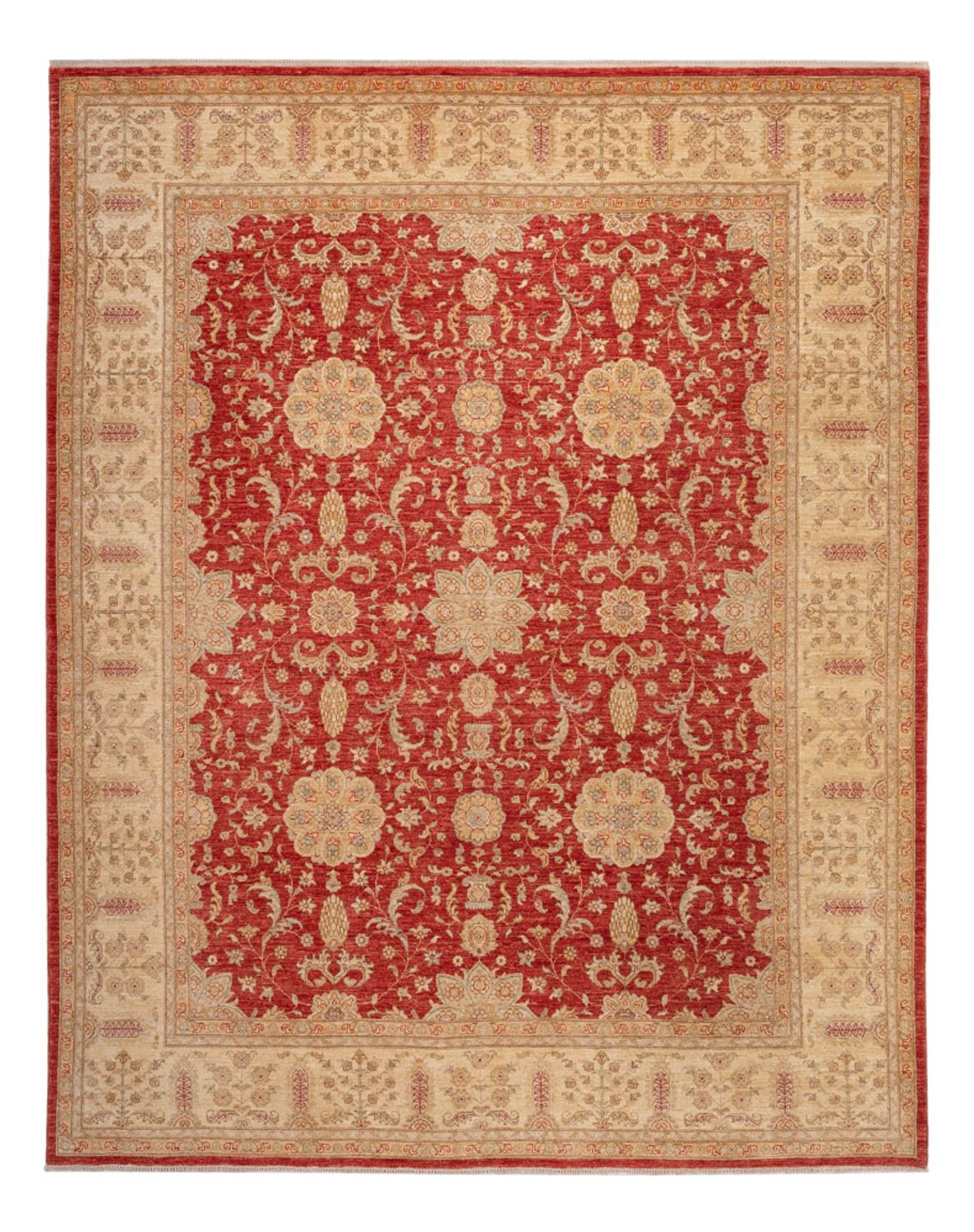 Ziegler Rug - Ariana - 304 x 245 cm - red
