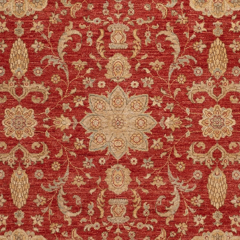 Ziegler Rug - Ariana - 304 x 245 cm - red