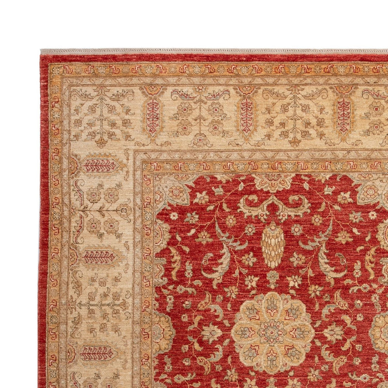 Ziegler Rug - Ariana - 304 x 245 cm - red