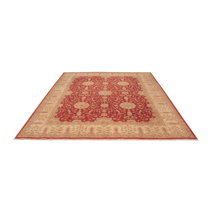 Ziegler Rug - Ariana - 304 x 245 cm - red
