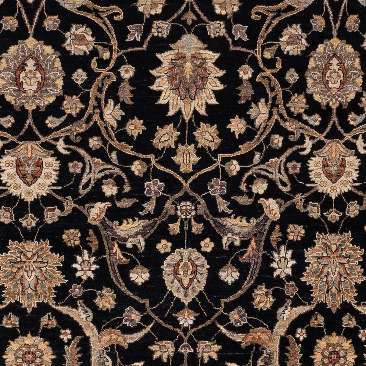 Ziegler Rug - 299 x 245 cm - black
