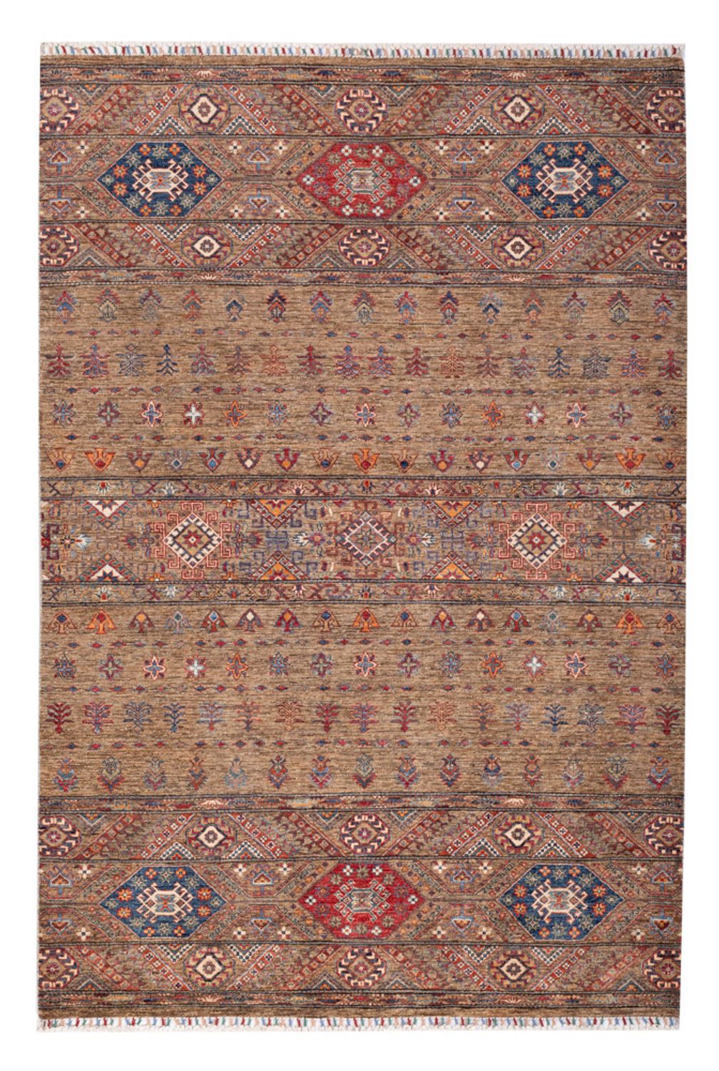 Ziegler Rug - Shal - 238 x 168 cm - multicolored