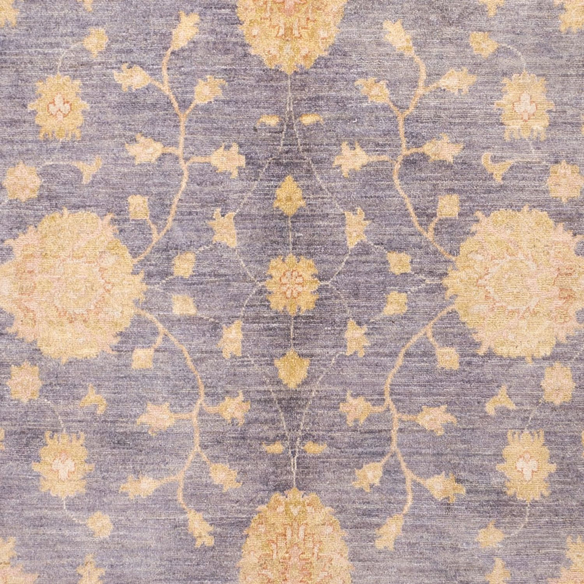 Ziegler Rug - 303 x 201 cm - light blue
