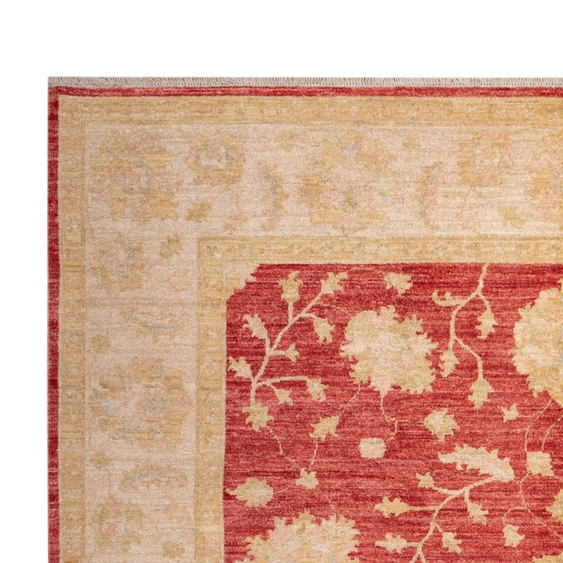 Ziegler Rug - 291 x 207 cm - red