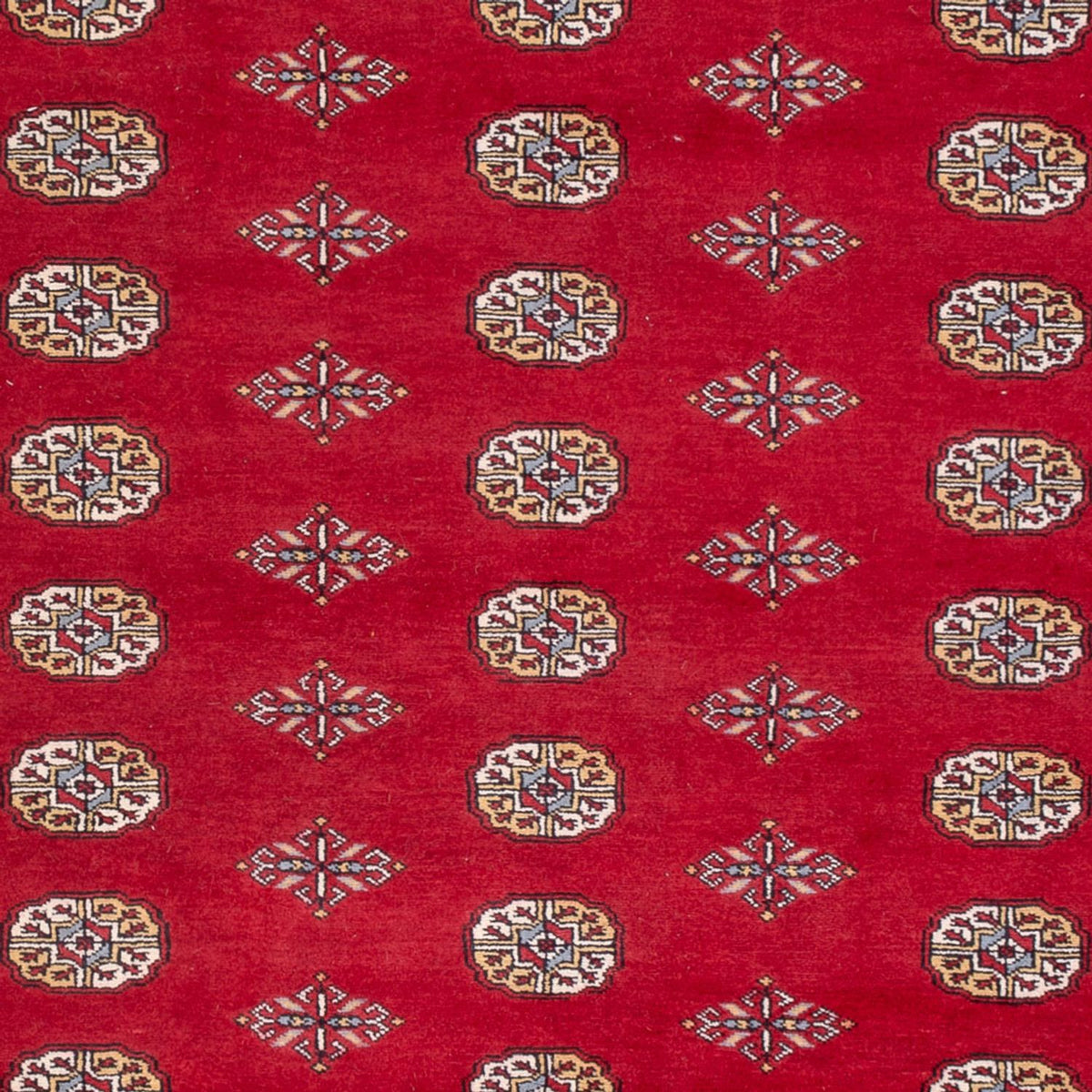 Afghan Rug - Bukhara - 307 x 201 cm - red