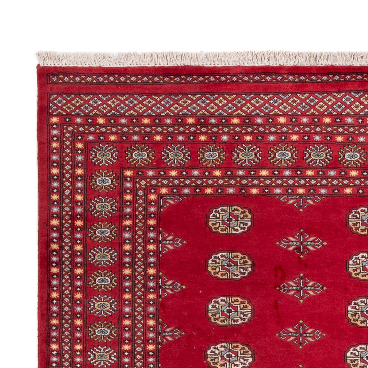 Afghan Rug - Bukhara - 307 x 201 cm - red