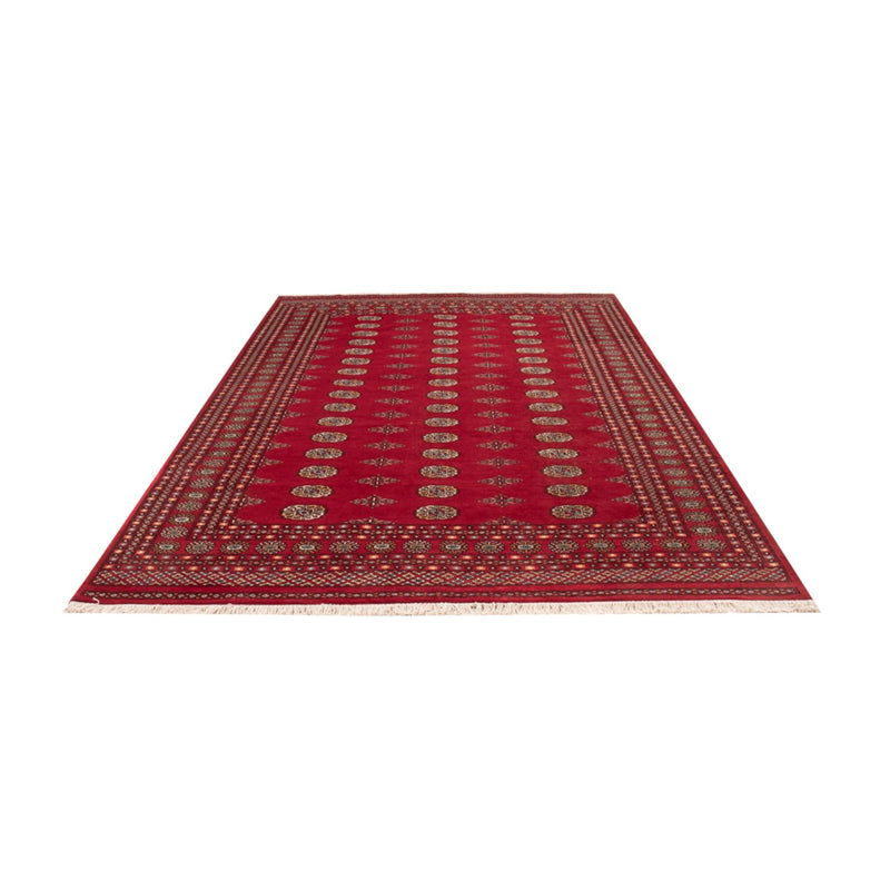 Afghan Rug - Bukhara - 307 x 201 cm - red