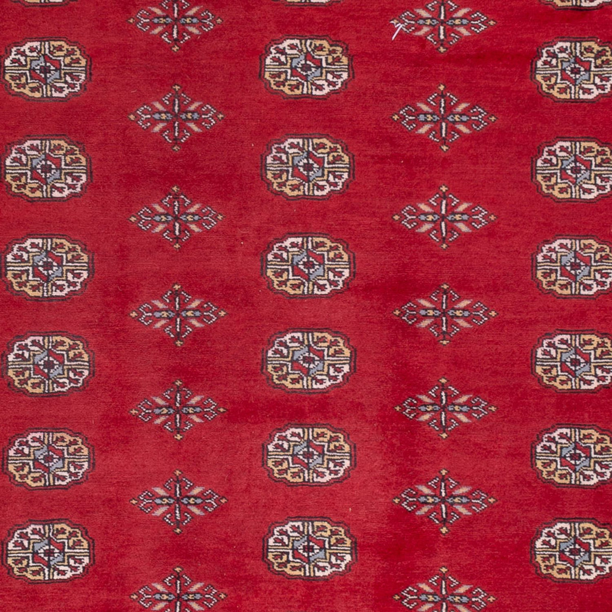 Afghan Rug - Bukhara - 300 x 201 cm - red
