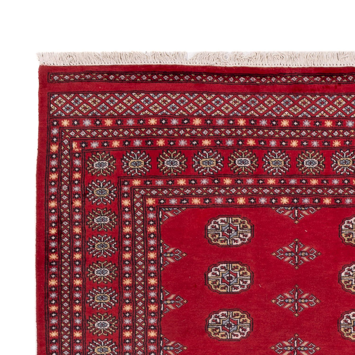 Bukhara Rug 300x201cm - Oriental Rug
