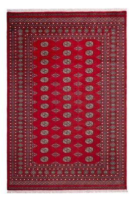 Afghan Rug - Bukhara - 302 x 200 cm - red