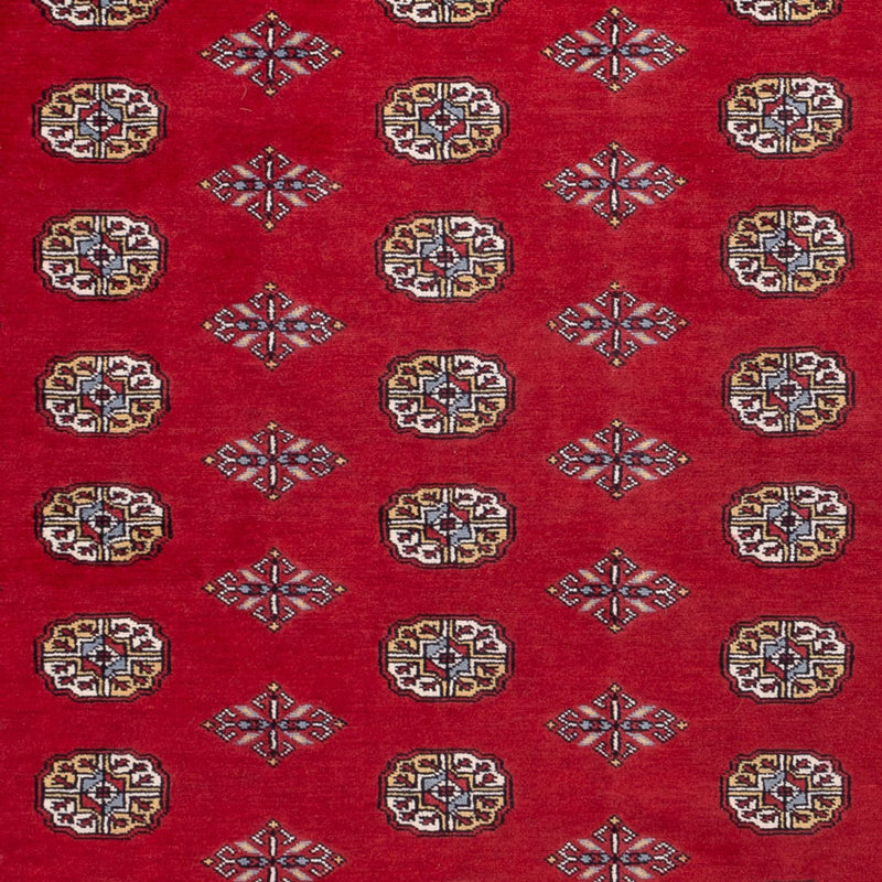 Afghan Rug - Bukhara - 302 x 200 cm - red