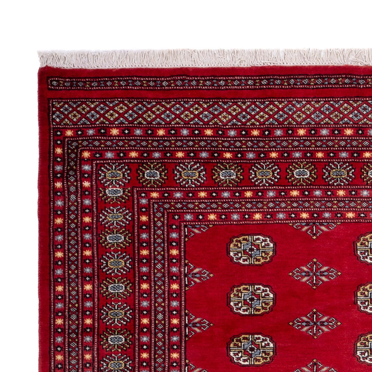 Afghan Rug - Bukhara - 302 x 200 cm - red