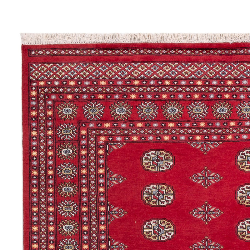 Afghan Rug - Bukhara - 316 x 203 cm - red