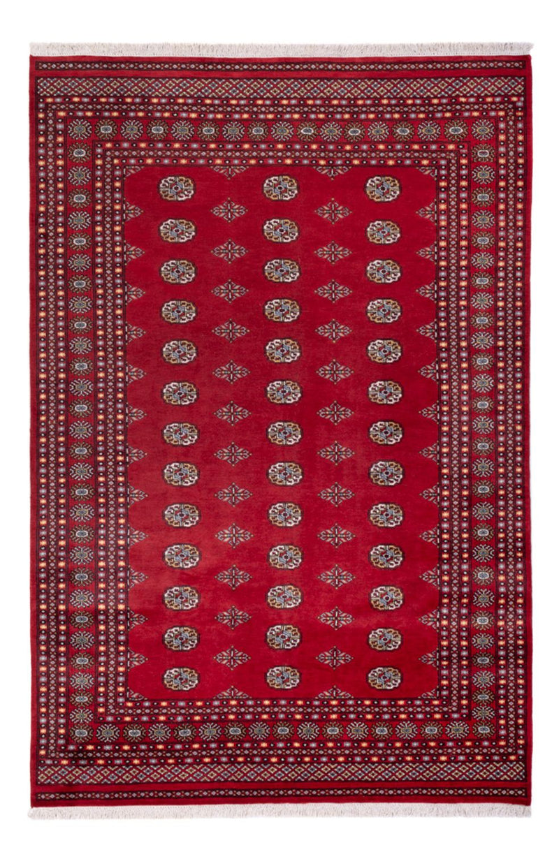 Afghan Rug - Bukhara - 294 x 198 cm - red