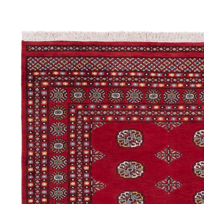 Afghan Rug - Bukhara - 294 x 198 cm - red