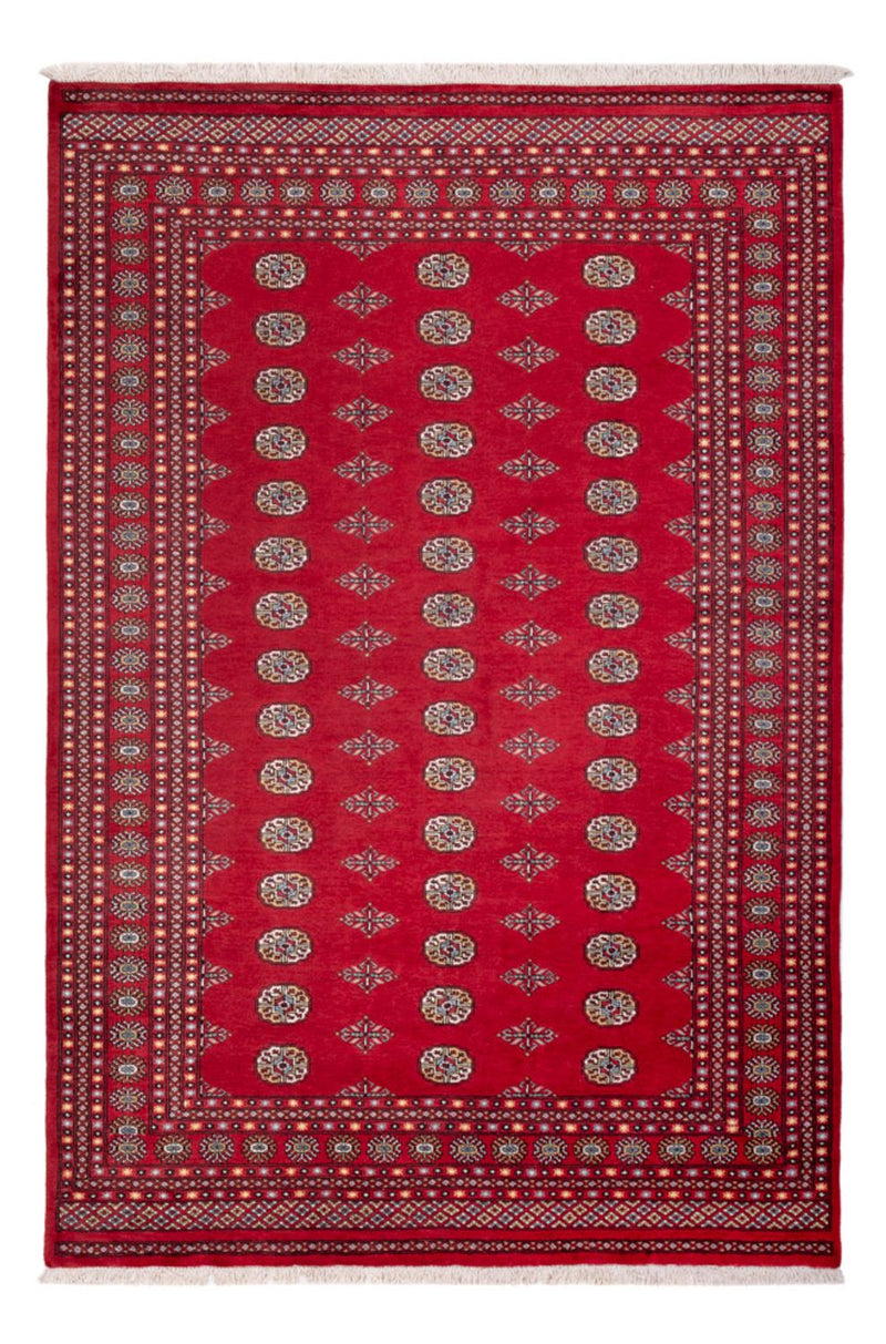Afghan Rug - Bukhara - 304 x 206 cm - red