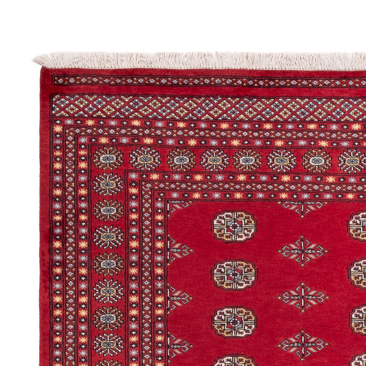 Afghan Rug - Bukhara - 304 x 206 cm - red