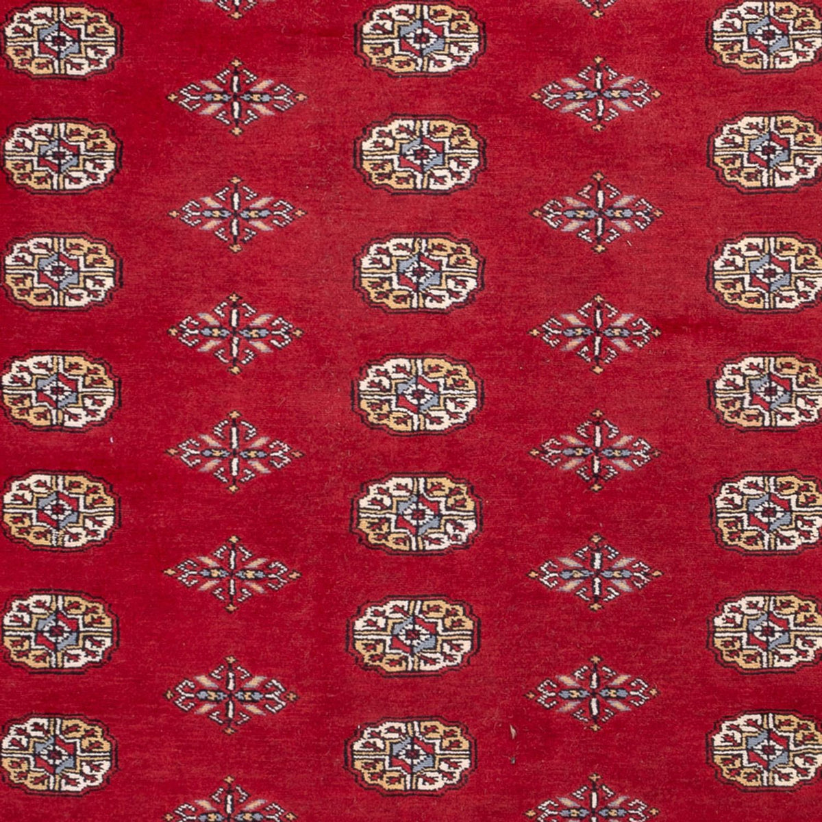 Afghan Rug - Bukhara - 308 x 207 cm - red