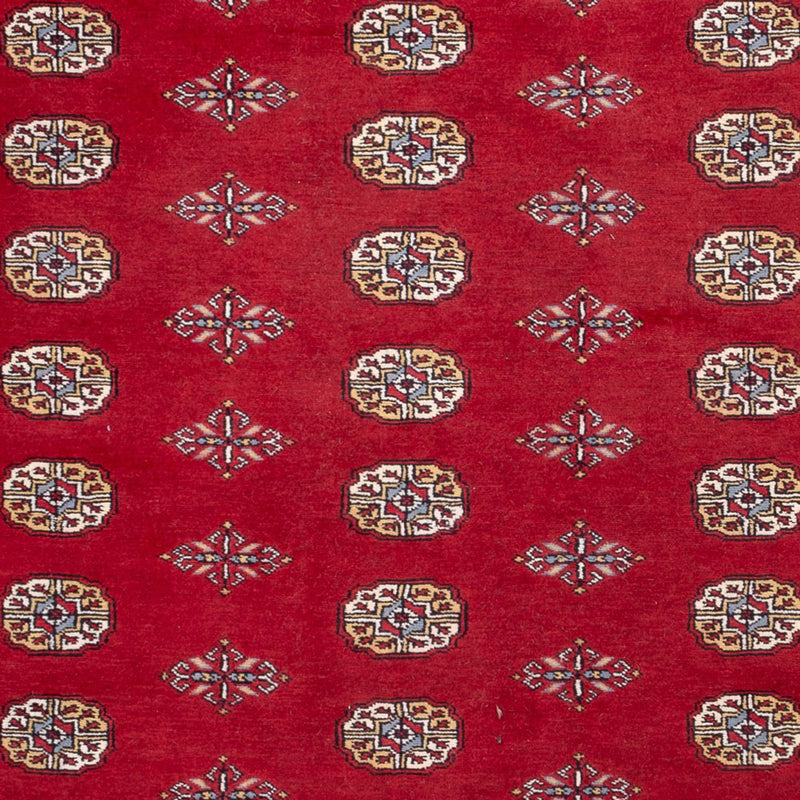 Afghan Rug - Bukhara - 308 x 207 cm - red