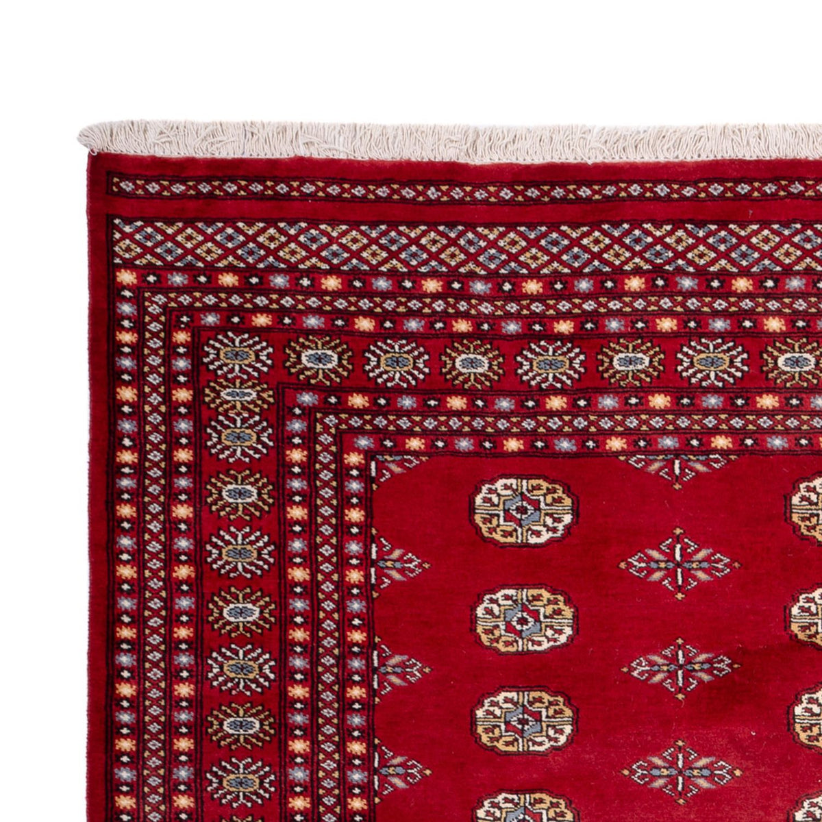Afghan Rug - Bukhara - 308 x 207 cm - red
