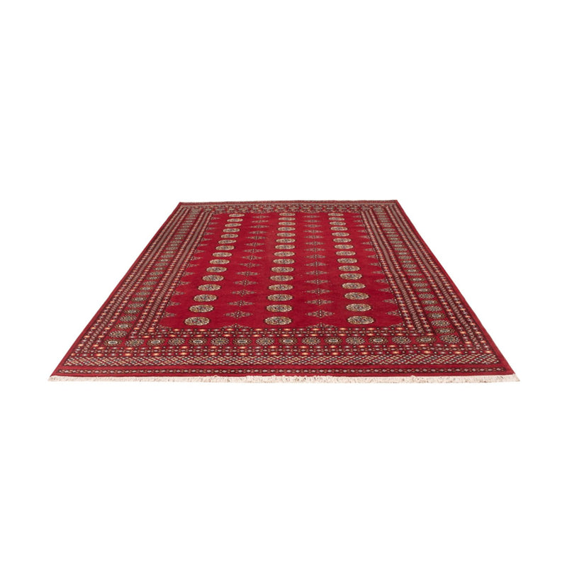 Afghan Rug - Bukhara - 308 x 207 cm - red