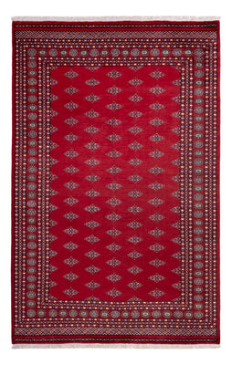 Afghan Rug - Bukhara - 317 x 204 cm - red