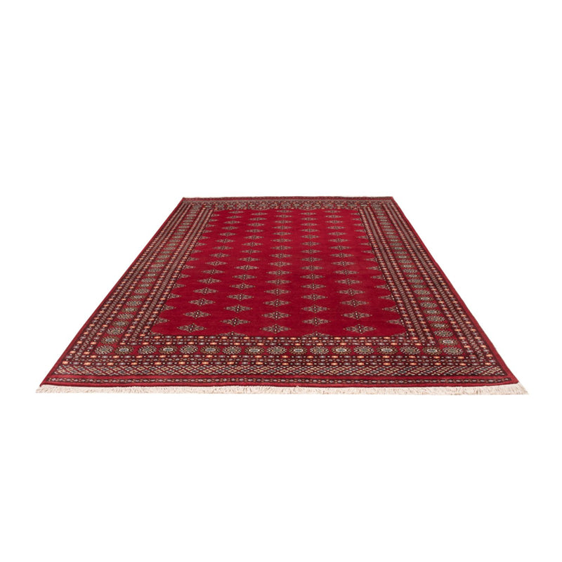 Afghan Rug - Bukhara - 317 x 204 cm - red