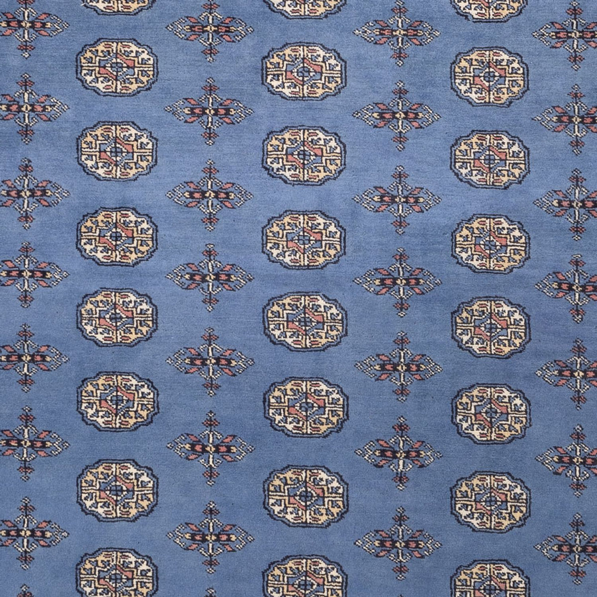 Afghan Rug - Bukhara - 305 x 249 cm - blue