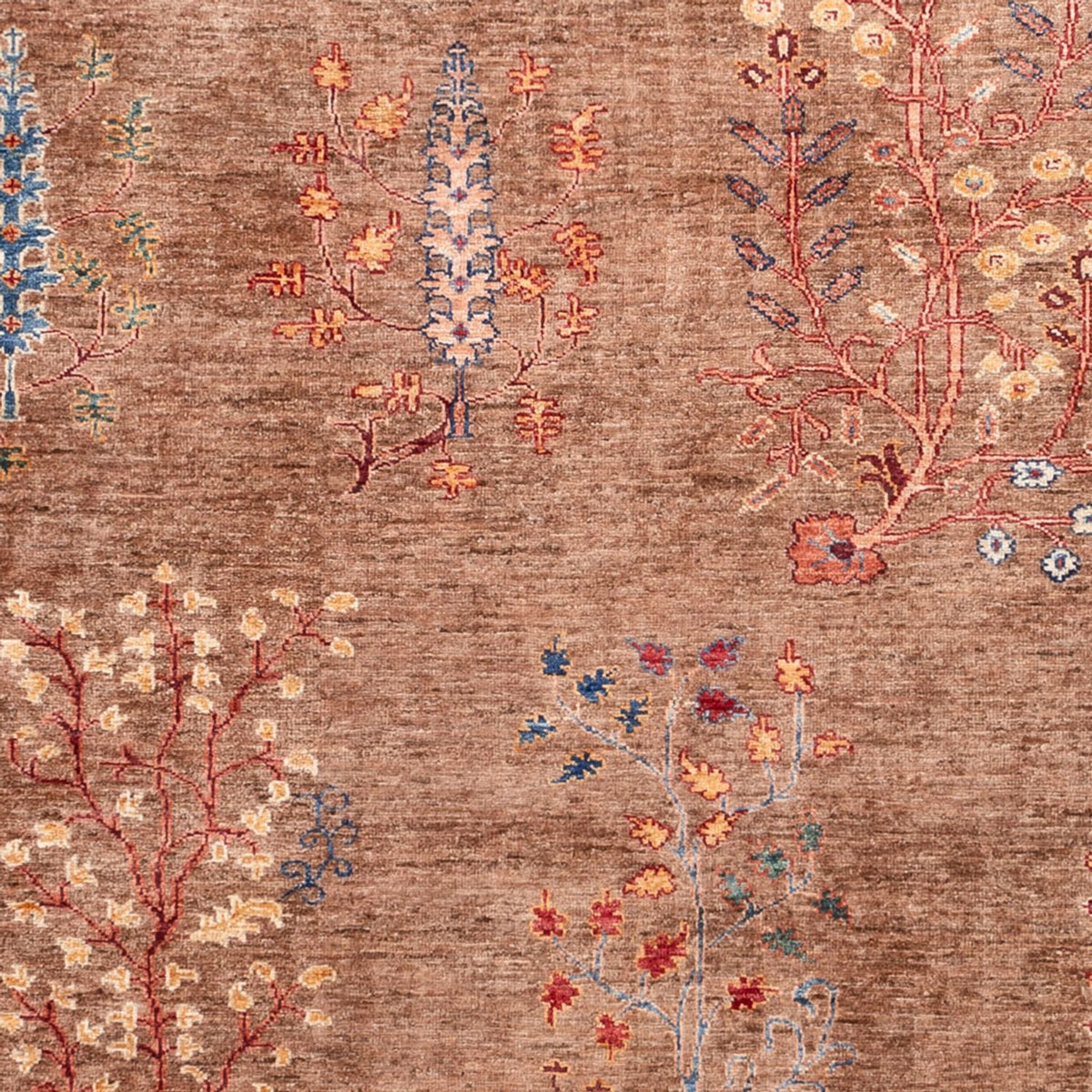 Ziegler Rug - Ariana - 291 x 210 cm - dark beige