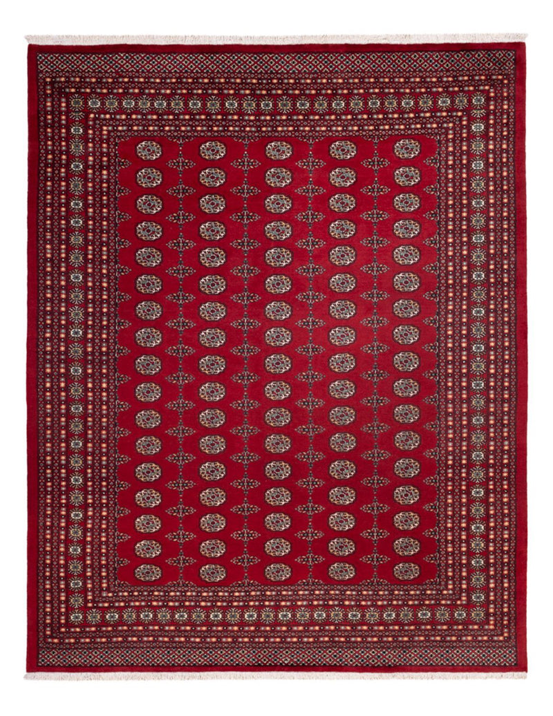 Afghan Rug - Bukhara - 309 x 246 cm - red