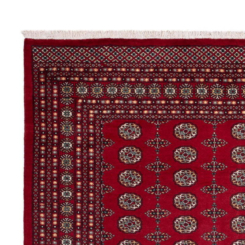Afghan Rug - Bukhara - 309 x 246 cm - red