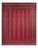 Bukhara Rug 305x244cm - Oriental Rug
