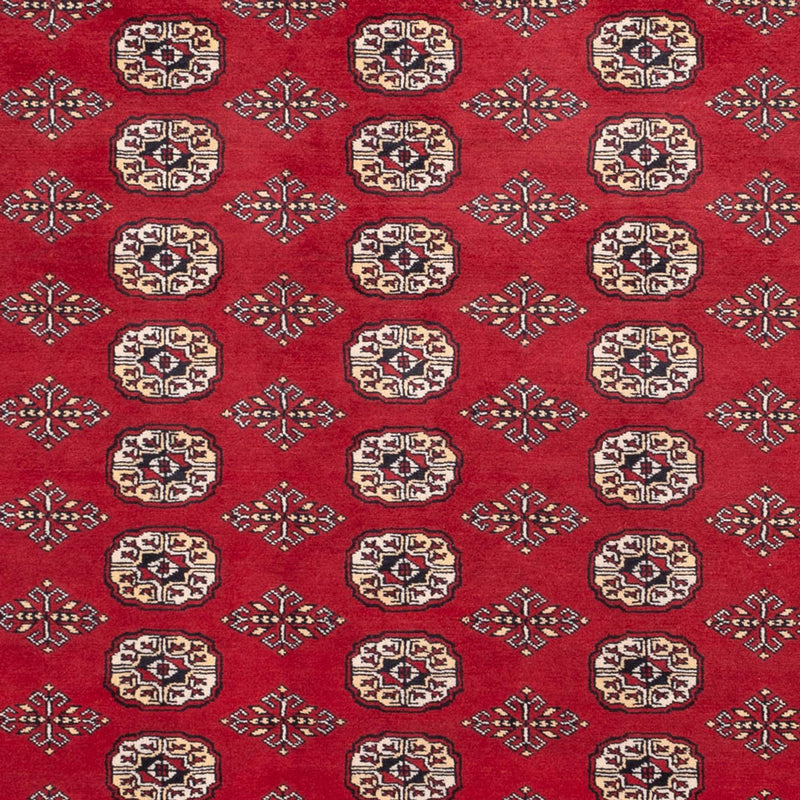 Afghan Rug - Bukhara - 305 x 244 cm - red