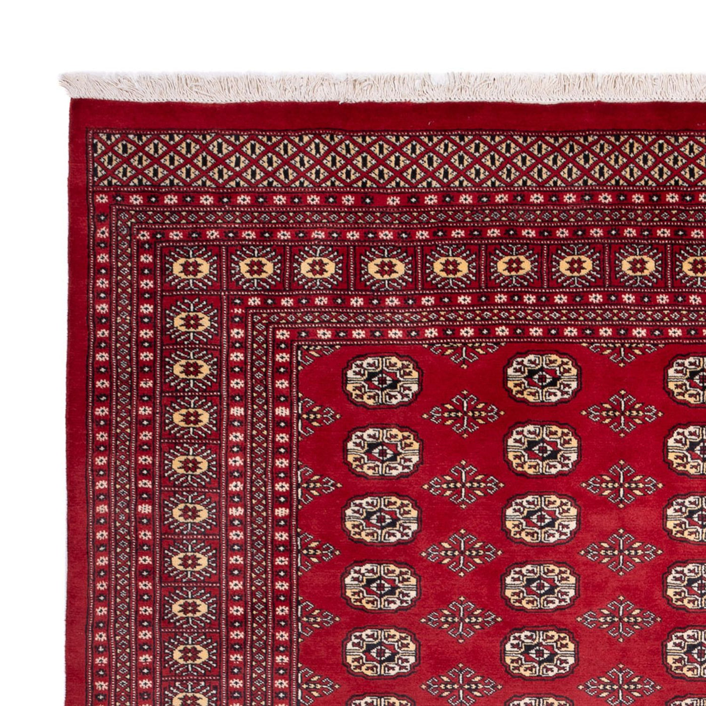Bukhara Rug 305x244cm - Oriental Rug
