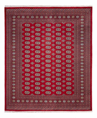 Afghan Rug - Bukhara - 296 x 250 cm - red