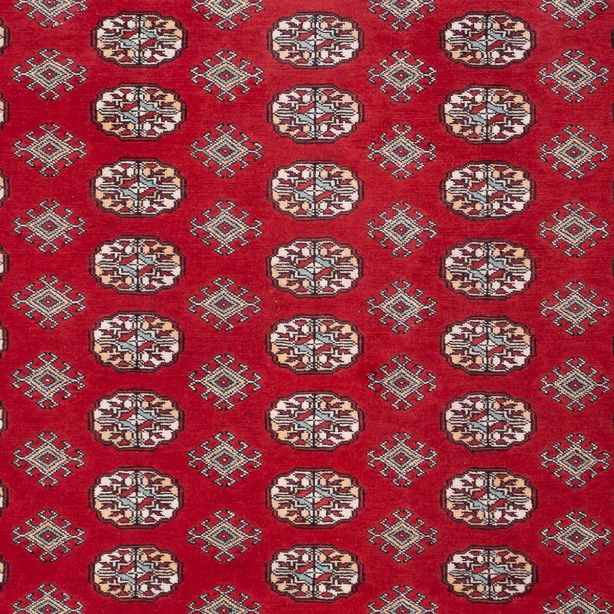 Afghan Rug - Bukhara - 296 x 250 cm - red
