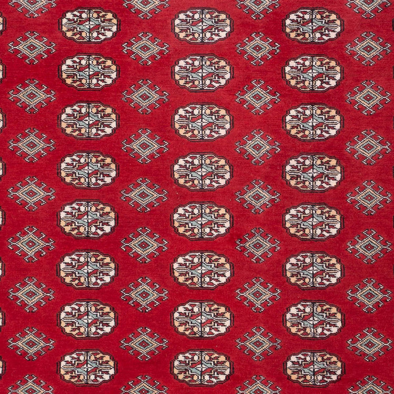 Afghan Rug - Bukhara - 296 x 250 cm - red