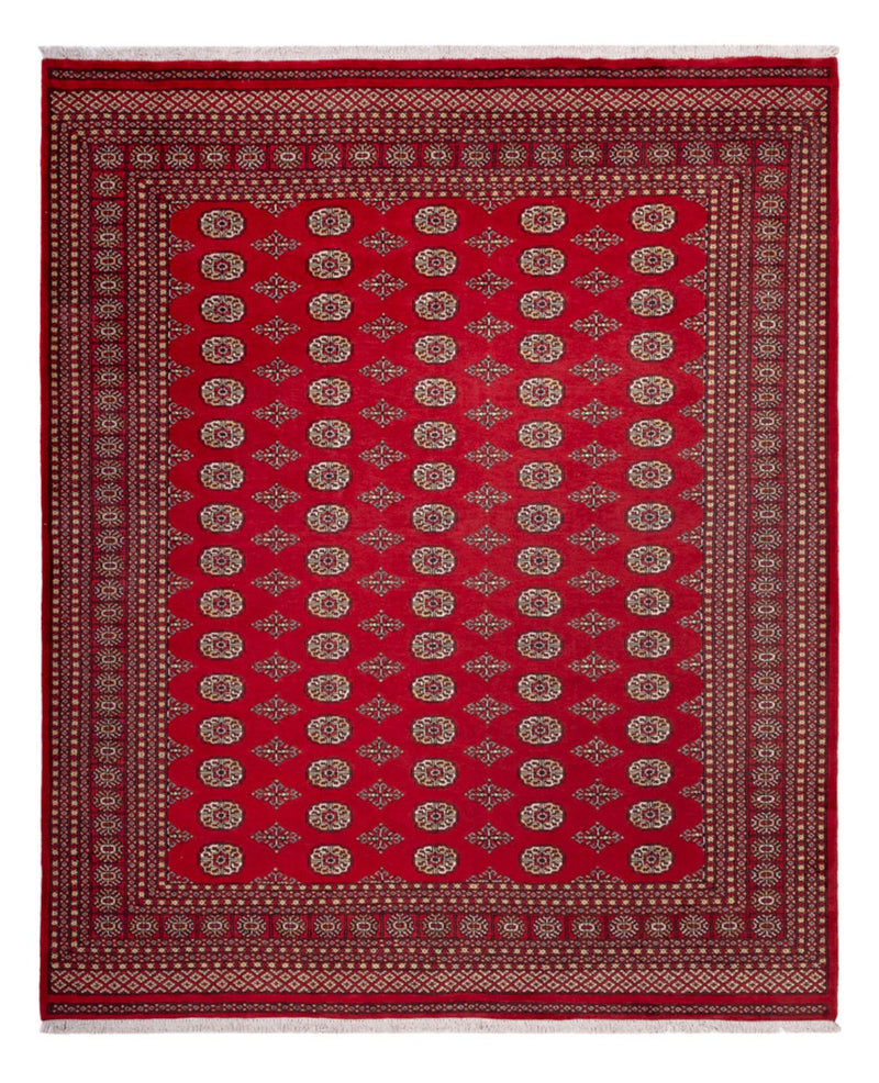 Afghan Rug - Bukhara - 305 x 252 cm - red