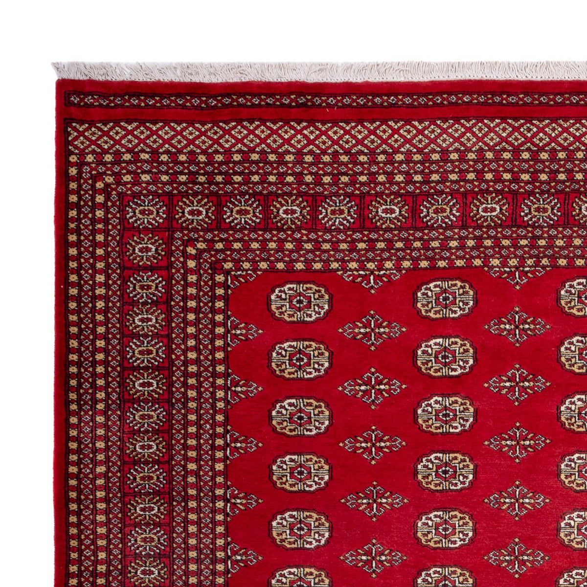 Afghan Rug - Bukhara - 305 x 252 cm - red