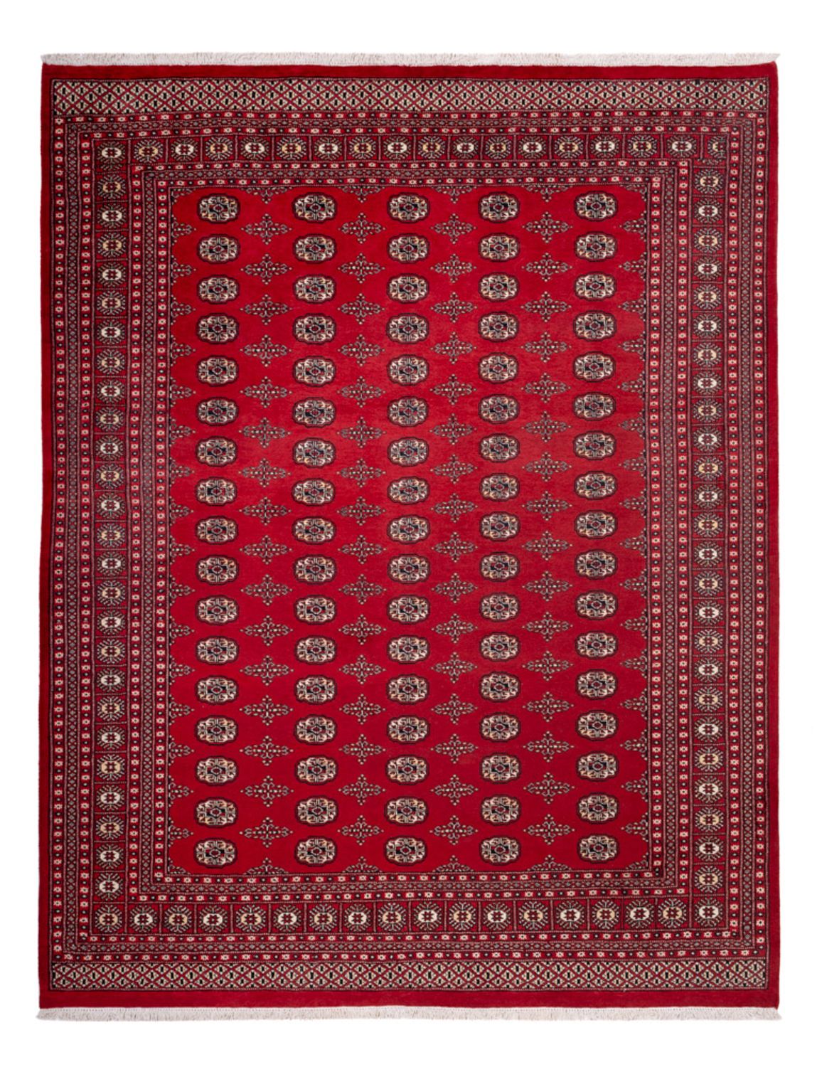 Afghan Rug - Bukhara - 319 x 250 cm - red