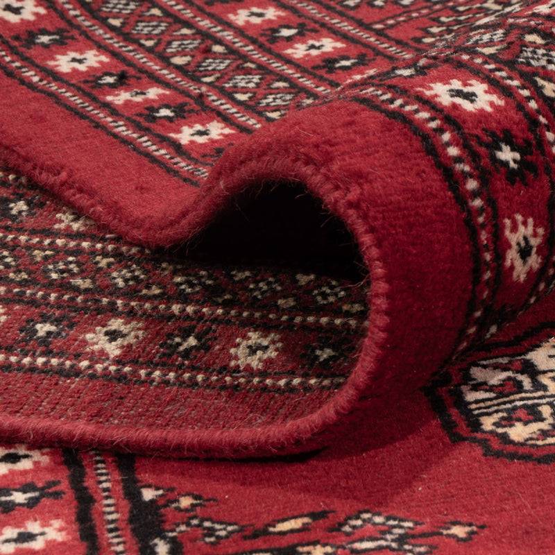 Afghan Rug - Bukhara - 319 x 250 cm - red