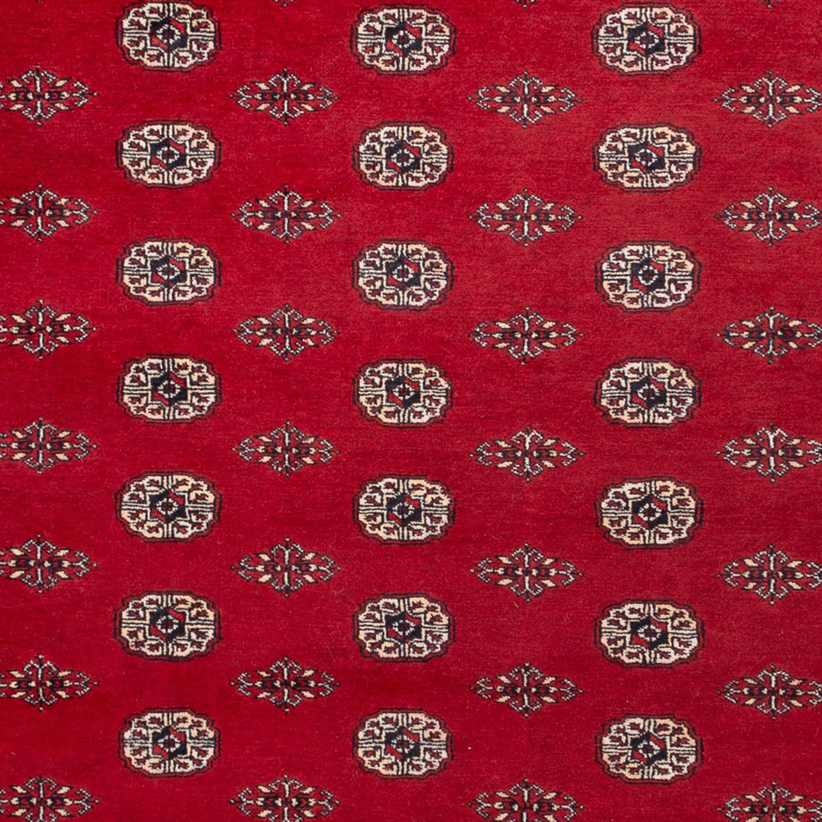 Afghan Rug - Bukhara - 323 x 248 cm - red