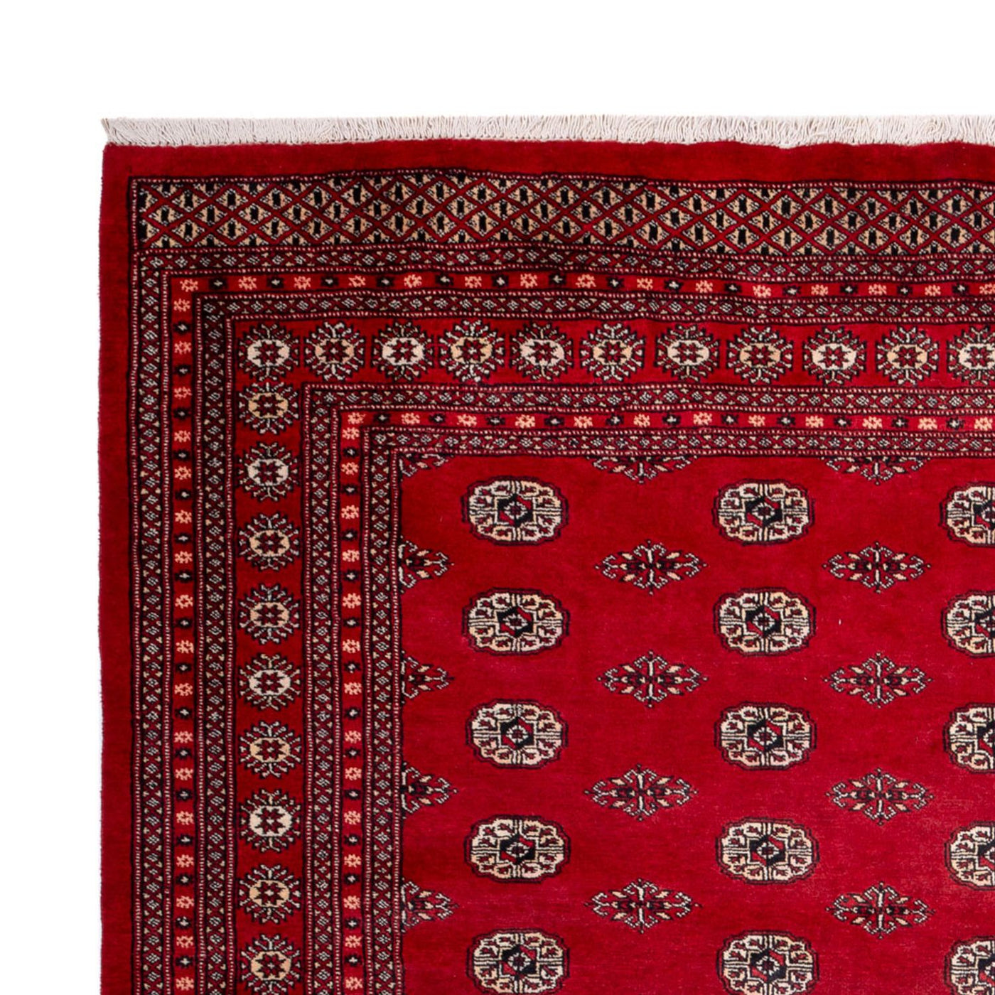 Buchara Teppich 323x248cm - Orientteppich