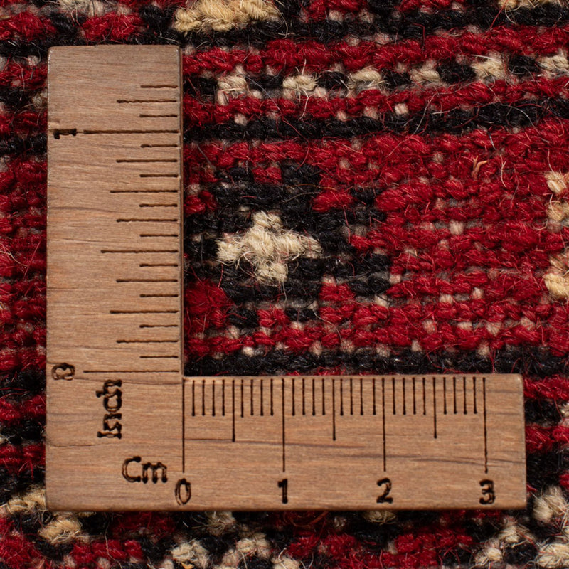 Afghan Rug - Bukhara - 323 x 248 cm - red