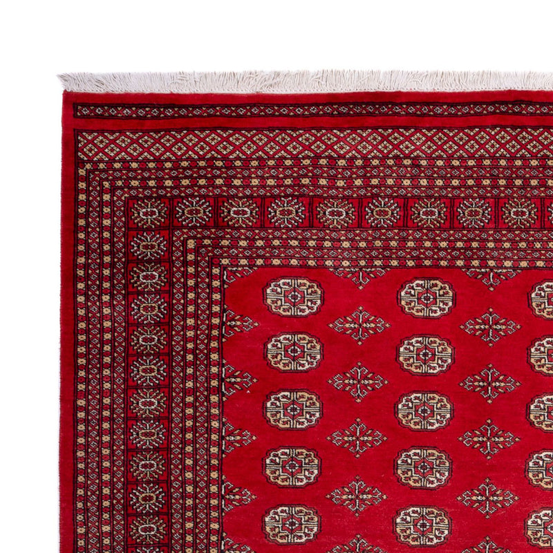 Afghan Rug - Bukhara - 321 x 247 cm - red