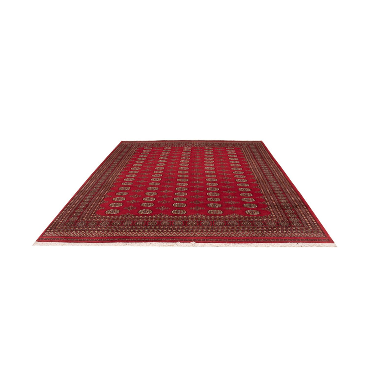 Afghan Rug - Bukhara - 321 x 247 cm - red