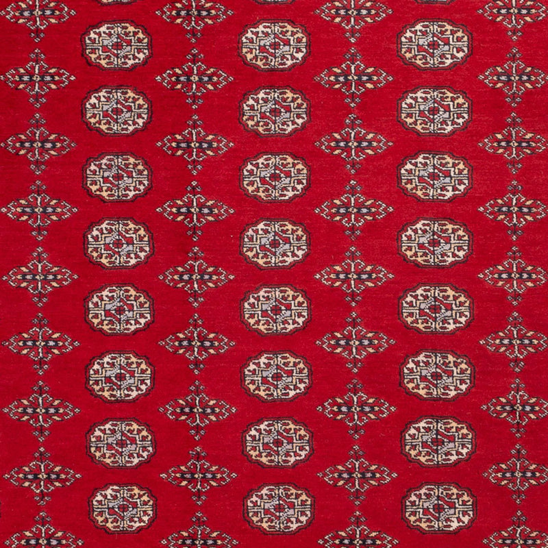 Afghan Rug - Bukhara - 318 x 247 cm - red