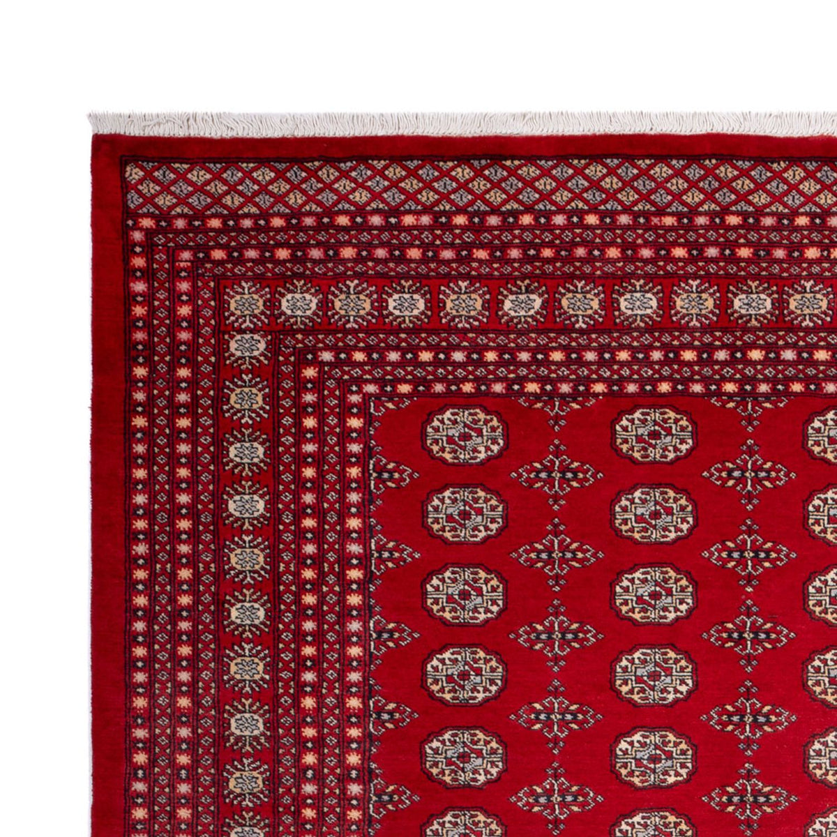 Afghan Rug - Bukhara - 318 x 247 cm - red